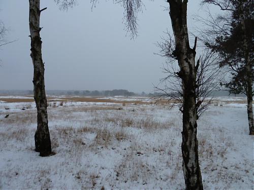 Klik op de afbeelding voor een grotere versie

Naam:  042.JPG‎
Bekeken: 473
Grootte:  157,6 KB
ID: 89058