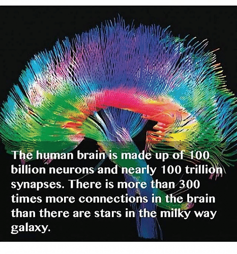 Klik op de afbeelding voor een grotere versie

Naam:  the-human-brain-is-made-up-of-100-billion-neurons-12328396.png‎
Bekeken: 70
Grootte:  145,9 KB
ID: 108633