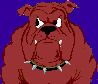 Kielse bulldog's schermafbeelding