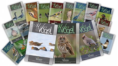 Klik op de afbeelding voor een grotere versie

Naam:  mensenvogel.jpg
Bekeken: 60
Grootte:  266,6 KB
ID: 102559