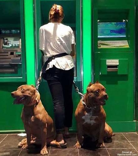 Klik op de afbeelding voor een grotere versie

Naam:  dogs.jpg
Bekeken: 160
Grootte:  70,3 KB
ID: 102737