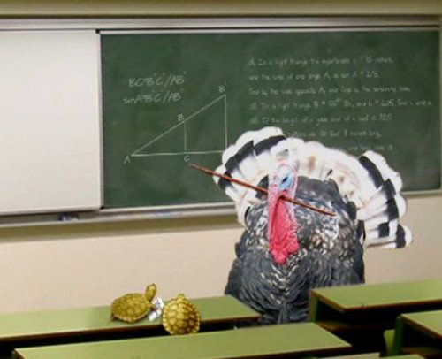 Naam: turkey-teacher1.jpg
Bekeken: 237
Grootte: 32,8 KB