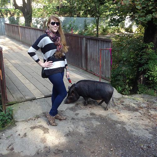 Klik op de afbeelding voor een grotere versie

Naam:  piggy.jpg
Bekeken: 73
Grootte:  295,0 KB
ID: 103251