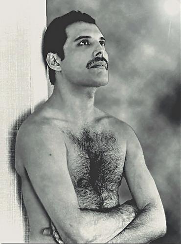 Klik op de afbeelding voor een grotere versie

Naam:  0d4acbdc084d6985f3710c063ee65ae5--queen-freddy-mercury-mercury-freddie.jpg
Bekeken: 93
Grootte:  105,6 KB
ID: 106419