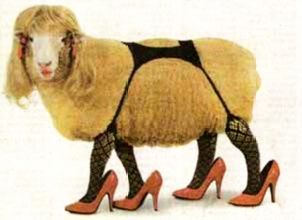 Naam: sheep_stockings_high_20heels.jpg
Bekeken: 100
Grootte: 12,0 KB