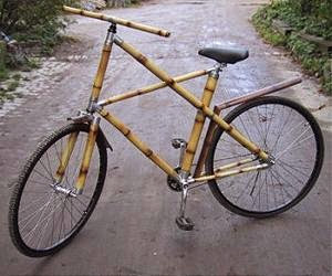 Naam: bamboo-bicycle-lg.jpg
Bekeken: 146
Grootte: 23,3 KB