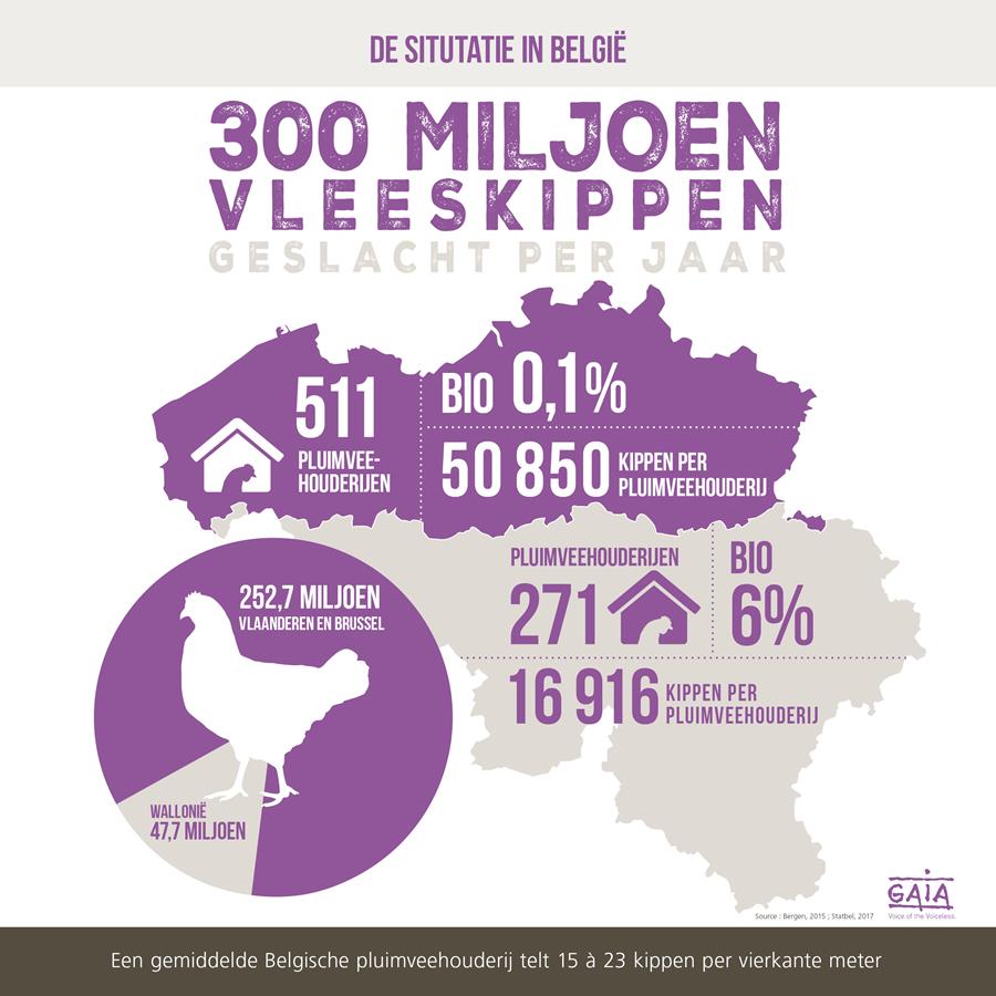 Naam: infographics31.jpg
Bekeken: 593
Grootte: 81,6 KB