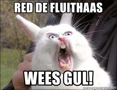 Naam: fluithaas.jpg
Bekeken: 189
Grootte: 24,1 KB