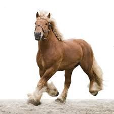 Naam: ba358ddb6949b3dccef27f4421f918ed.jpg
Bekeken: 169
Grootte: 6,4 KB