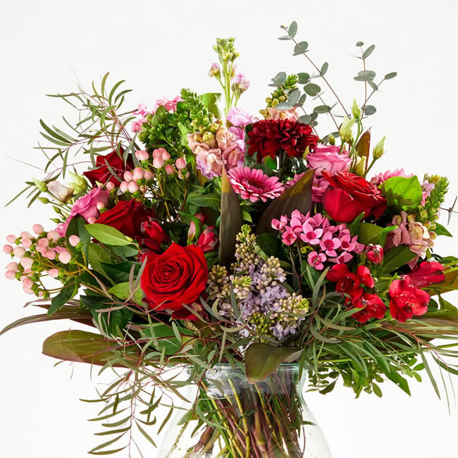 Naam: bloemen.jpg
Bekeken: 137
Grootte: 127,1 KB