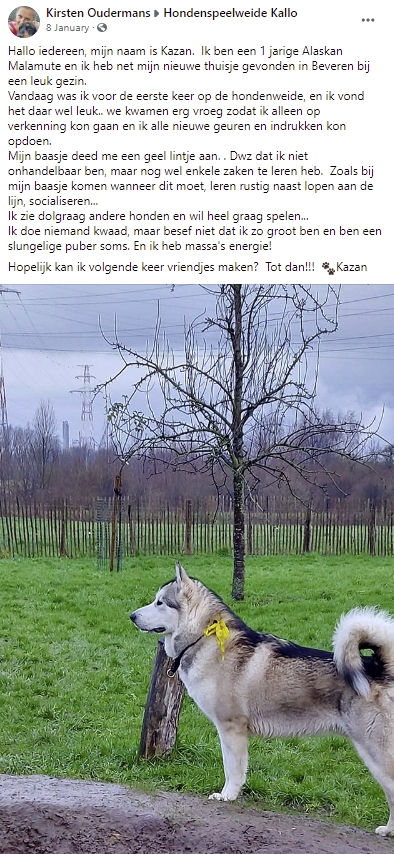 Naam: kazan.jpg
Bekeken: 149
Grootte: 315,7 KB