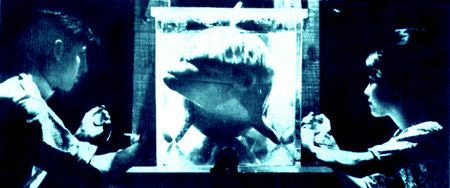 Naam: dolphin-philosophy-450w.jpg
Bekeken: 341
Grootte: 39,6 KB