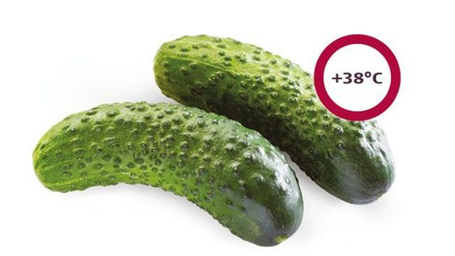 Naam: sensoa.jpg
Bekeken: 163
Grootte: 28,5 KB