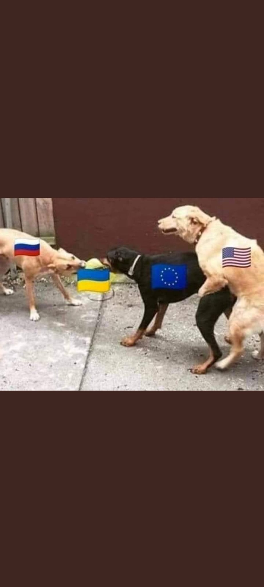 Naam: russia ukraine.jpg
Bekeken: 246
Grootte: 91,0 KB