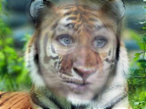 Klik op de afbeelding voor een grotere versie

Naam:  moreltijger2.jpg
Bekeken: 441
Grootte:  22,1 KB
ID: 14362