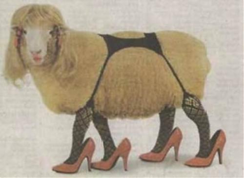 Klik op de afbeelding voor een grotere versie

Naam:  Patrick J.jpg
Bekeken: 115
Grootte:  21,7 KB
ID: 14459
