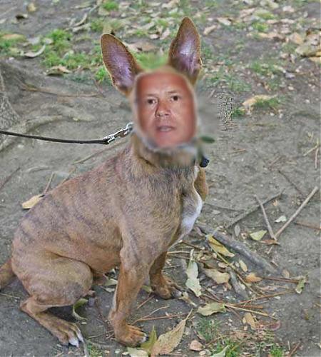 Klik op de afbeelding voor een grotere versie

Naam:  vanhecke.jpg
Bekeken: 254
Grootte:  36,3 KB
ID: 16244