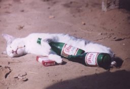 Naam: the day after.jpg
Bekeken: 205
Grootte: 9,3 KB