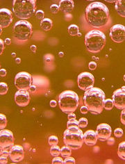 Naam: 180px-Rose_Champagne_Bubbles.jpg
Bekeken: 100
Grootte: 16,3 KB