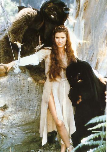 Klik op de afbeelding voor een grotere versie

Naam:  ewoks.jpg
Bekeken: 116
Grootte:  60,4 KB
ID: 19747