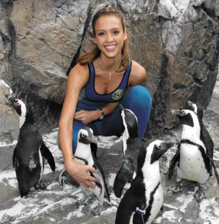 Naam: wie.jpg
Bekeken: 37
Grootte: 44,7 KB