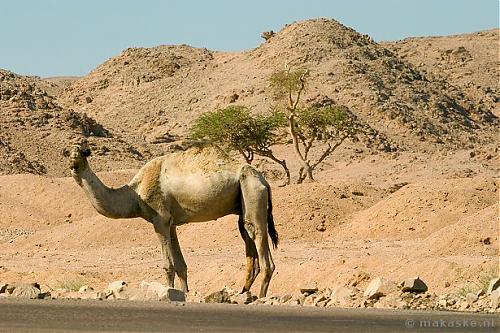 Klik op de afbeelding voor een grotere versie

Naam:  tip.jpg
Bekeken: 72
Grootte:  105,6 KB
ID: 19955