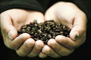 Naam: koffie.jpg
Bekeken: 65
Grootte: 65,9 KB