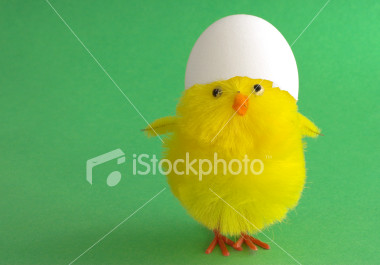 Naam: easter_chick_wearing_helmet.jpg
Bekeken: 238
Grootte: 26,0 KB