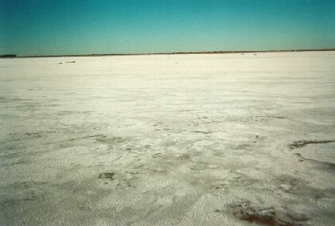 Naam: image001.jpg
Bekeken: 92
Grootte: 20,1 KB