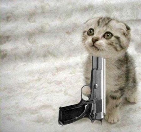 Naam: kitten_die.jpg
Bekeken: 377
Grootte: 31,4 KB