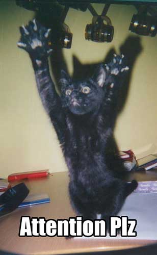 Naam: 270913939_1455c2e90d.jpg
Bekeken: 453
Grootte: 14,9 KB
