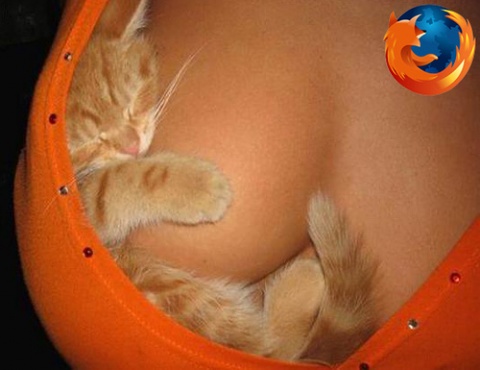 Naam: firefoxcat.jpg
Bekeken: 663
Grootte: 50,3 KB