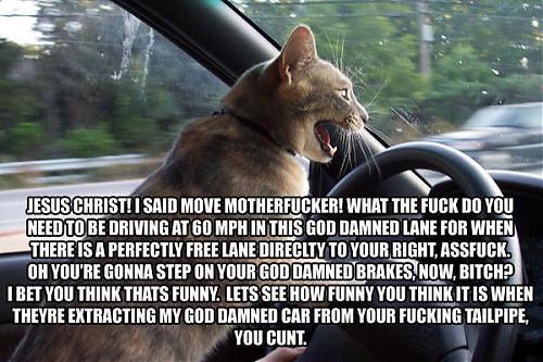 Klik op de afbeelding voor een grotere versie

Naam:  funny_cat_pictures_082.jpg
Bekeken: 73
Grootte:  64,6 KB
ID: 24287