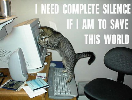 Naam: funny_cat_pictures_pc_3.jpg
Bekeken: 433
Grootte: 45,4 KB