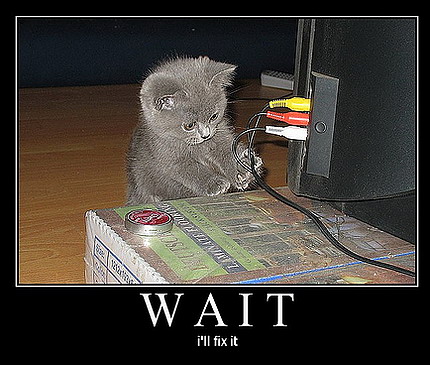 Naam: funny-cat-engineer.jpg
Bekeken: 645
Grootte: 57,8 KB