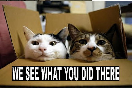 Naam: funnycatsgroup3.jpg
Bekeken: 439
Grootte: 37,8 KB
