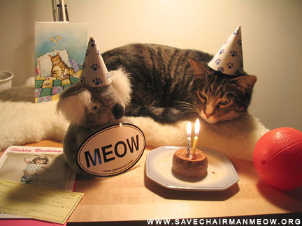 Naam: birthday_cat.jpg
Bekeken: 107
Grootte: 48,4 KB