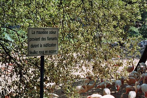 Klik op de afbeelding voor een grotere versie

Naam:  ParkParadisio2.jpg
Bekeken: 101
Grootte:  270,6 KB
ID: 24920