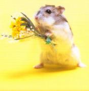 Naam: sorry.jpg
Bekeken: 56
Grootte: 4,1 KB