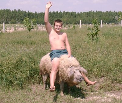 Naam: taming-the-beast.jpg
Bekeken: 333
Grootte: 38,4 KB