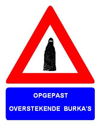 Naam: burka2.JPG
Bekeken: 458
Grootte: 18,5 KB