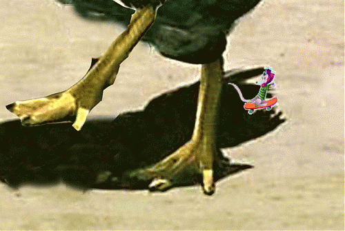 Klik op de afbeelding voor een grotere versie

Naam:  chipie.gif
Bekeken: 143
Grootte:  374,7 KB
ID: 26492
