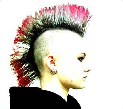 Naam: 256_mohawk1.jpg
Bekeken: 150
Grootte: 21,7 KB