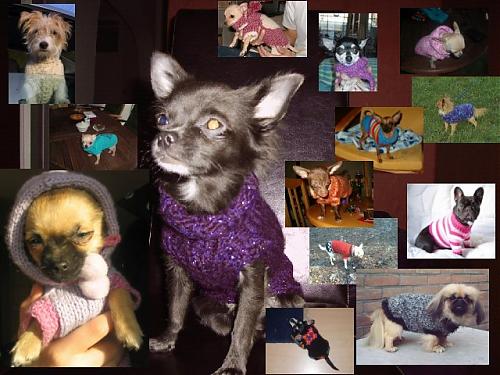 Klik op de afbeelding voor een grotere versie

Naam:  collage.jpg
Bekeken: 101
Grootte:  76,1 KB
ID: 27378