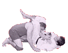 Naam: anime4.gif
Bekeken: 52
Grootte: 60,3 KB