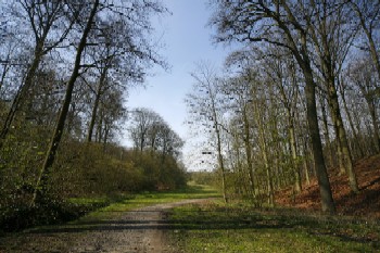 Naam: 3_10_Park_Schaveyshoeve_Linkebeek_2.jpg
Bekeken: 212
Grootte: 38,2 KB