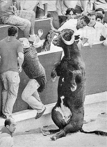 Klik op de afbeelding voor een grotere versie

Naam:  StierZit450X620.jpg
Bekeken: 150
Grootte:  144,5 KB
ID: 29158