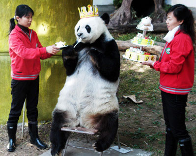 Naam: happy-birthday-panda.jpg
Bekeken: 149
Grootte: 42,4 KB