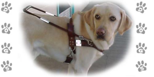 Klik op de afbeelding voor een grotere versie

Naam:  ProgramsSwap_Dogs.jpg
Bekeken: 247
Grootte:  31,1 KB
ID: 30967