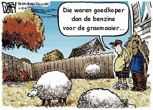 Klik op de afbeelding voor een grotere versie

Naam:  image004.jpg
Bekeken: 103
Grootte:  95,9 KB
ID: 31683